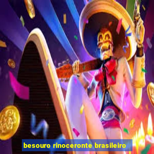 besouro rinoceronte brasileiro